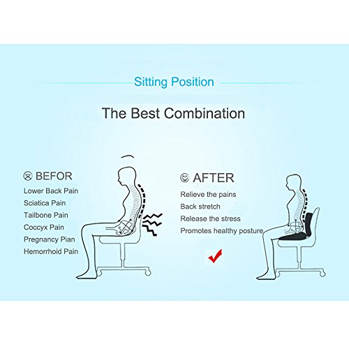 image for Lower back Support Orthopedic Memory Foam Seat Cushion and Lumbar Supp
