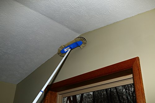 Cleanovation Euro Broom
