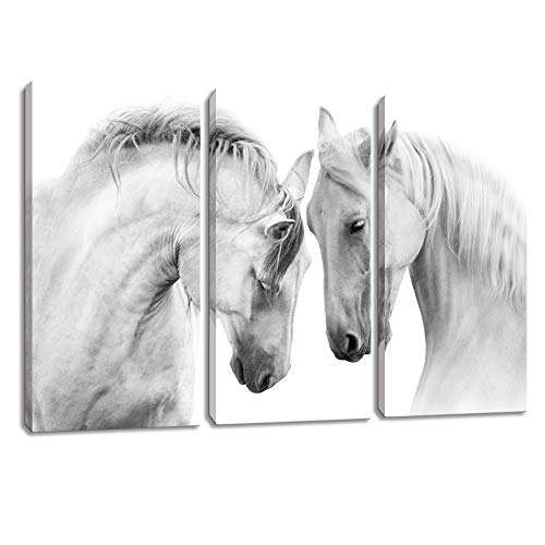 Kalawa 2 White Horses Canvas Art Prints Wall Art Ocean Pictures Paintings 3 Panels Framed Animals