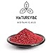 Naturevibe Botanicals Sumac Powder, 100gm (3.53oz) | Indian Spice | Seasoning