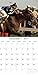 Beatufiul Photographs of Legendary Race Horses 2017 Monthly Wall Calendar, 12