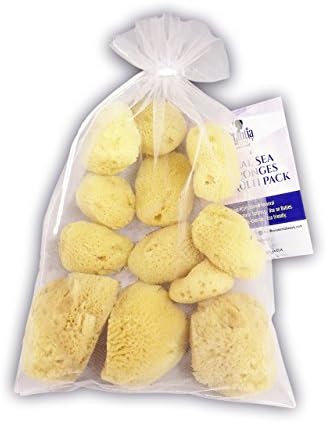 Constantia Beauty Natural Sea Silk Sponges for Cosmetic Use, 1.5 - 3 Inches (sized like cotton balls), Pack of 12