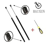 Qty (2) 2003-2007 Ford Focus Gas Charged Hatchback Lift Support