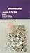 100 Buttons2Cover Cover Buttons Flat Back Size 20 (1/2