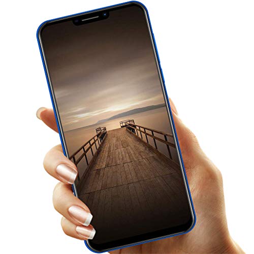 6.1Inch Ultra Android 6.0 Quad-Core 1GB+8GB+Extra 16GB Dual WiFi SIM Smart Cellphone (Black)