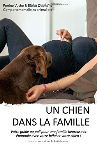 Un Chien Dans La Famille Votre Guide Au Poil Pour Une Famille Heureuse Et Epanouie Avec Votre Bebe Et Votre Chien French Edition P Vuche E Desmaris Amazon Com Books