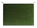 Find It Tab View Hanging File Folders, Letter Size, 8.5 x 11 Inches, Standard Green, Pack of 25 (FT07081)