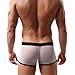HP95(TM) Men's Bikini Underwear, Low Waist Mesh Transparent Sexy Boxers Bulge Comfy Shorts Underpants Underwear (L, C)