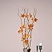 LIGHTSHARE 36 Inch 16LED Natural Lighted Willow Twig Branch, Maple Leaf, Built-in Timer, USB Plug-in and Battery Powered, Décor for Home, Festival, Party, Christmas, Night Light