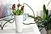 smylls 10 pcs Holland Tulips Flowers Latex-Look Like Real,Eco-Friendly Odourless Artificial Flowers Christmas Party Decoration Gift Package(10, Purple)