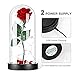 Glass Flower Galaxy Rose Gift for Women: Light Modes, USB Plug & Battery Powered Mother Birthday Thanksgiving Present Mom Her Wedding Anniversary Delivery Day Idea from Daughter