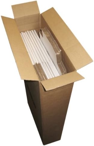 10) largo Comic caja Master sobres – BCW marca : Amazon.es ...