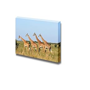 Canvas Prints Wall Art - Group of Giraffes Walking on African Savannah | Modern Wall Decor/Home Art Stretched Gallery Wraps Giclee Print & Wood Framed. Ready to Hang - 12" x 18"