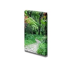 Canvas Prints Wall Art - The Footpath Winding Its Way Through a Tranquil Garden. | Modern Wall Decor/Home Decoration Stretched Gallery Canvas Wrap Giclee Print. Ready to Hang - 18" x 12"