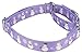 Country Brook Petz - Snowman Martingale Dog Collar - Christmas Collection Featuring Festive Designs (1 Inch, Medium)