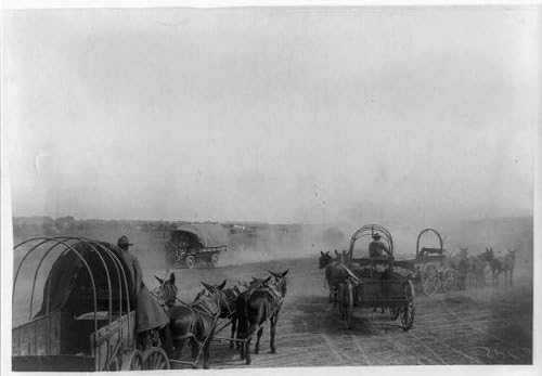 Photographs - HistoricalFindings Photo: US Army Punitive Expedition After Villa,Colonia Dublan,Mexico,1916,Wagons