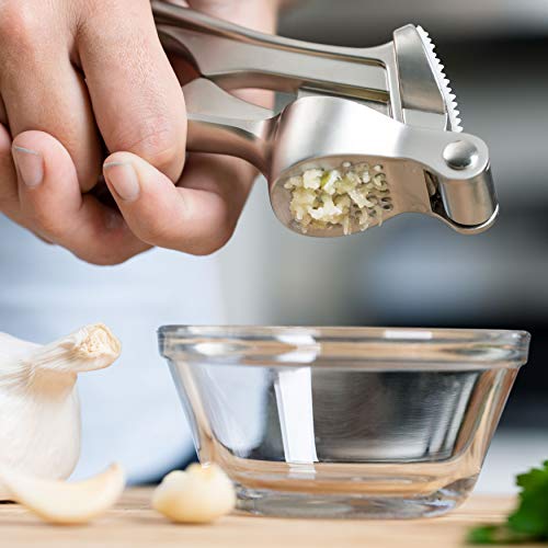 Homarden Garlic Press Mincer Tool - Handheld Garlic Crusher and Masher Kitchen Tool - Heavy Duty Garlic Smasher and Ginger Press - Self Cleaning Garlic Presser with Handle and Soft Rubber Comfort Grip