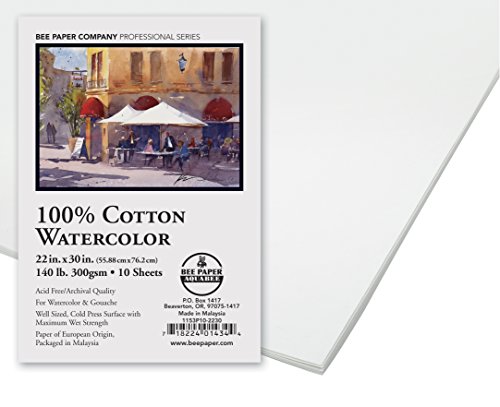 Bee paper 1153p10-2230 watercolor sheet , 22 x 30-inche…