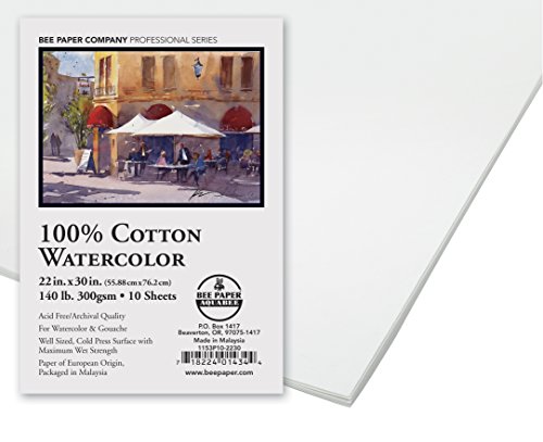 UPC 718224014344, Bee Paper 1153P10-2230 Watercolor Sheet , 22 x 30-Inches, Pack of 10