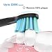 Sonic Electric Toothbrush Clean as Dentist Rechargeable 1 Time Charge 30 Days Use 5 Modes Waterproof 3 Replacement Heads with Smart Timer Black
