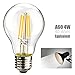 Leadleds LED Filament Bulb A19, Vintage Edison Style LED Bulb 4W E27 Soft White 2700k Non-Dimmable, Replace 40W Incandescent Bulb