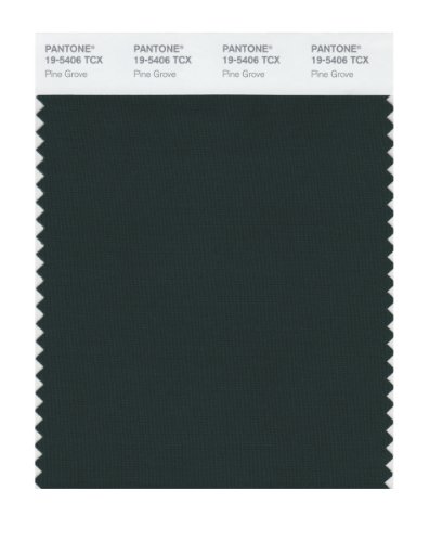 Pantone 19-5406 TCX Smart Color Swatch Card, Pine Grove