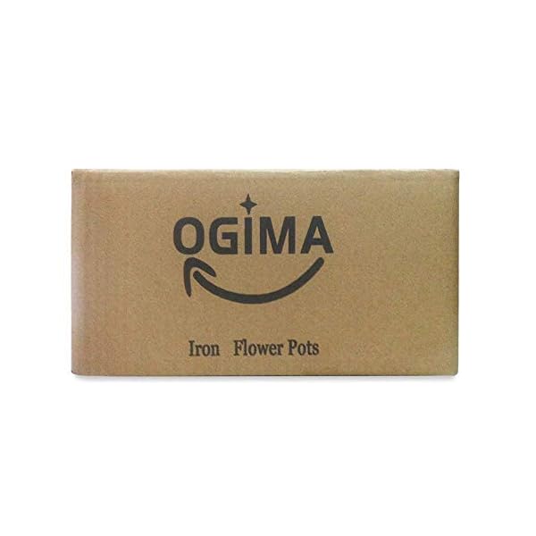 La flor del metal del hierro del florero del pote que cuelga Balcón