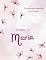 Livro 100 Dias de Autodescoberta O Diário de Maria