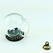 10pcs 20x15mm Cute Mini Clear Glass Globe with Dome Cover, Vial Pendant Jewelry Findings Supply (Antique Bronze)