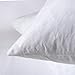 basic home 12x20 Decorative Throw Pillow Inserts-Down Feather Pillow Inserts-Oblong-Cotton Fabric-Set of 2-White.