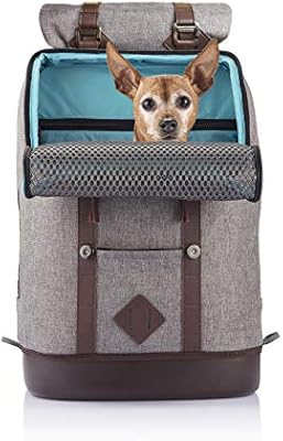 kurgo pet carrier