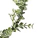 Floral Fall Artificial Baby Breath Flower Halo Wedding Crown Pink Bridal Headpiece HC-24 (Eucalyptus Crown)