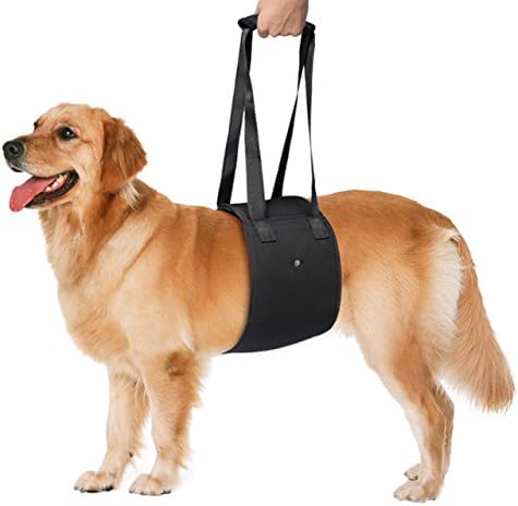Petetpet Dog Lift Support Harness with Support Sling Help Dogs Weak Front or Rear Hind Legs, Injury, Arthritis, Low Mobility, Stand Up, Walk,Get Into Cars, Climb Stairs (Large, Black)