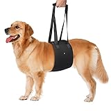 Petetpet Dog Lift Support Harness with Support Sling Help Dogs Weak Front or Rear Hind Legs, Injury, Arthritis, Low Mobility, Stand Up, Walk,Get Into Cars, Climb Stairs (Medium, Black)