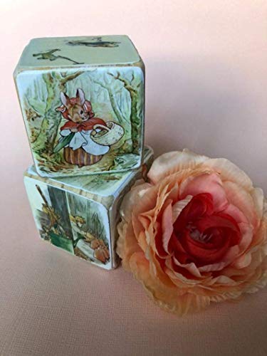 beatrix potter wooden blocks