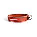 EzyDog Neo Dog Collar - Waterproof & Reflective Dog Collar with Soft Padded Neoprene for Comfort & Durable Nylon – Features Quick Release Buckle and Built-in ID Clip (Large, Orange)