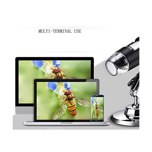USB Digital Mikroskop,XVZ Handheld 50X bis 1600X Vergrößerung Endoskop,USB Schnittstelle Mikroskop mit Ständer und 8 LED… – Bild 3
