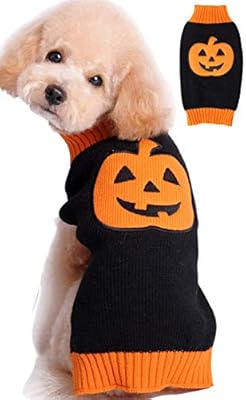 cat and pumpkin sweater