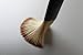 Hansderma Skinsoft Facial Mask Brush, Charming Brush