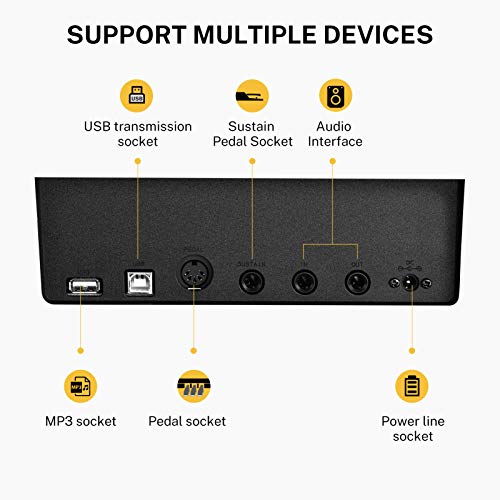 Donner DEP-20 Beginner Digital Piano 88 Key Full Size Weighted Keyboard, Portable Electric Piano with Furniture Stand, 3… - Image 7