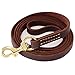 FAIRWIN Leather Dog Leash 6 Foot - Dog Training Leash Heavy Duty Dog Lead for Large Medium Small Dogs (M - 6 ft x 5/8 inch, Reddish Brown)