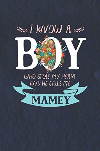 I Know A Boy Who Stole My Heart And He Calls Me Mamey: Family Grandma Women Mom Memory Journal Blank Lined Note Book Mother's Day Holiday Gift