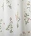 Lorraine Home Fashions English Garden 55-inch x 24-inch Tier Curtain Pair, White/Multi