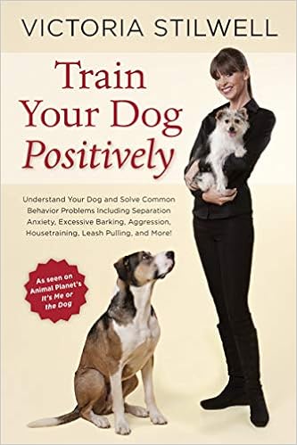 dog aggression behaviorist near me