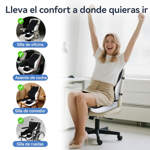 Travel Ease Memory Foam Seat Cushion and Lumbar Pillow Set, Ergonomic Comfort for Office Chair, Car, Home and Travel, Back and Butt Support, Black