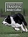 Barbara Sykes' Training Border Collies