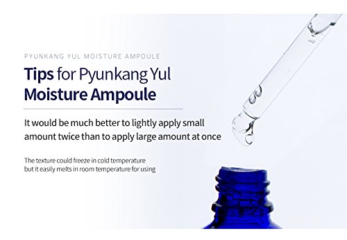 [ Pyunkang Yul ] Moisture Ampoule 100ml / 3.3 Fl. oz.