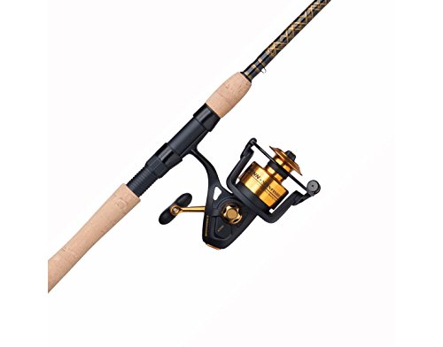 Penn-Spinfisher-V-Spinning-Fishing-Reel-Rod-Combo