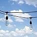 String Light Company Vintage 48-Ft Outdoor Commercial String Lights with 24 Suspended Sockets and 24 Clear S14 Bulbs, 16 Gauge Black Cord