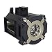 NEC NP26LP/100013748 Original Lamp